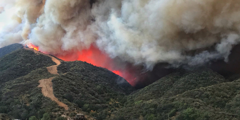 Incendi boschivi è record: 74.965 ettari bruciati nei sette mesi del 2017