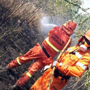 CORSO DI BASE  per Operatore Volontario Antincendi Boschivi  2018